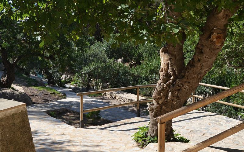 Fonts de l'Algar: zwemmen onder de watervallen