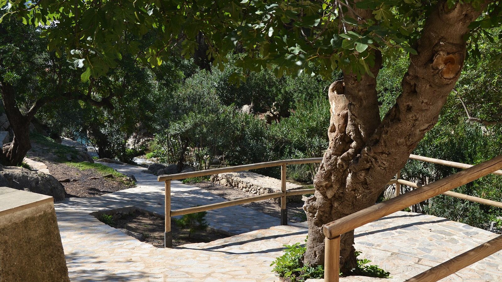 Uitjes, natuur & attracties rond Alicante