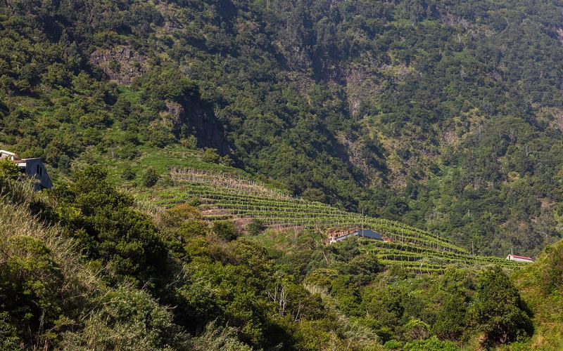 De wijnroute van Alicante: proeven tussen wijngaarden en bergen